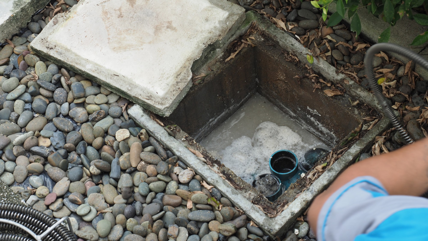 $83 Drain Special